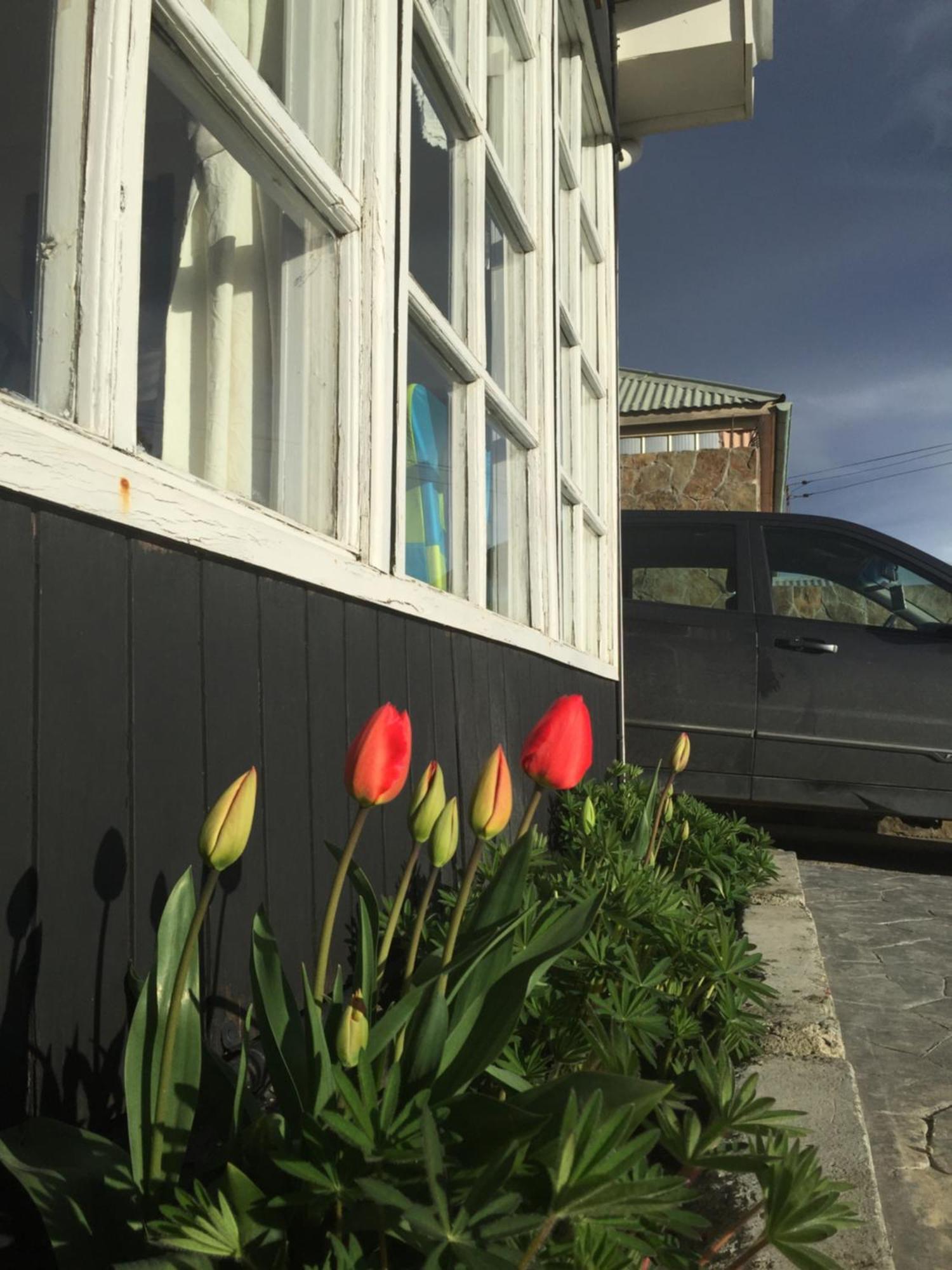 Big Bang Patagonia - Traveler Assistance Bed and Breakfast Πουέρτο Νατάλες Εξωτερικό φωτογραφία
